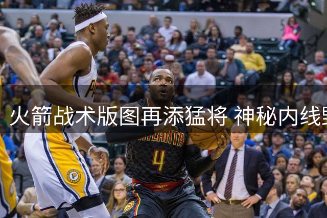 火箭战术版图再添猛将 神秘内线野兽成休城新拼图